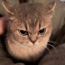 son-kedi adlı kullanıcı